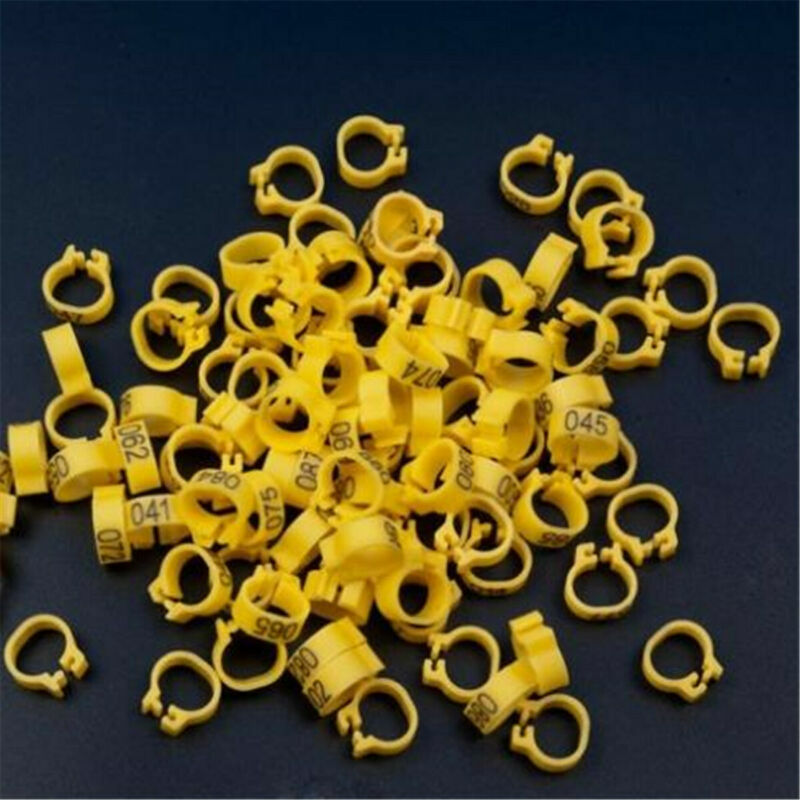 Bird Rings Leg Foot Bands for Pigeon Parrot, 8mm, 100pcs
