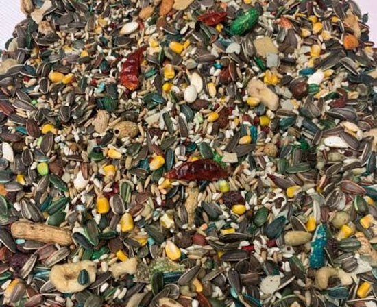 Abba 1500 Parrot Food for Cockatoo Macaw and African Grey