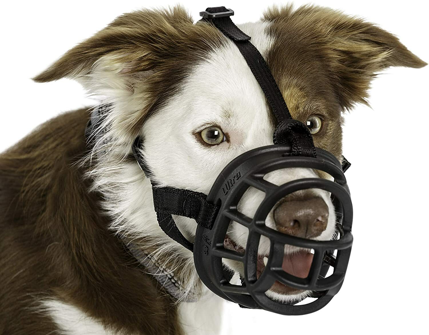 Baskerville Ultra Dog No-Bite Soft Mesh Basket - Black