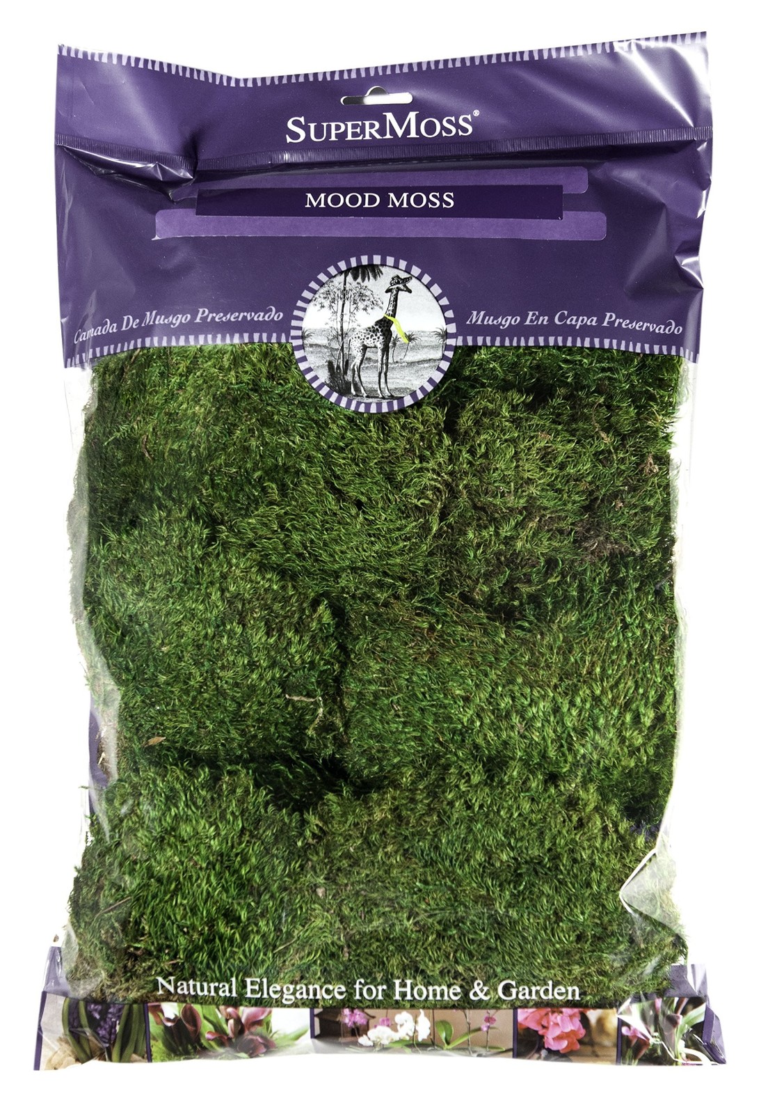 Supermoss (21539) Mood Moss Preserved, 200 Cubic Inch Bag (A...