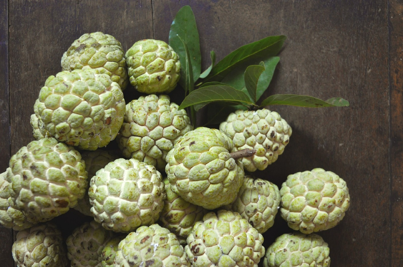 Custard Sugar Apple (Annona Squamosa) 10 Tree Seeds - Non-GM...