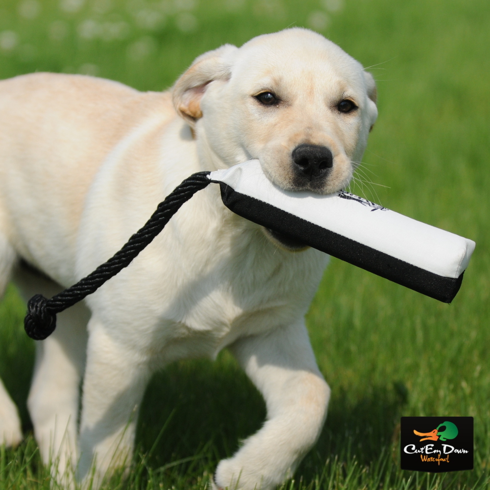 Avery Greenhead Gear GHG 2 Inch Flasher Dummy Bumper Dog Tra...