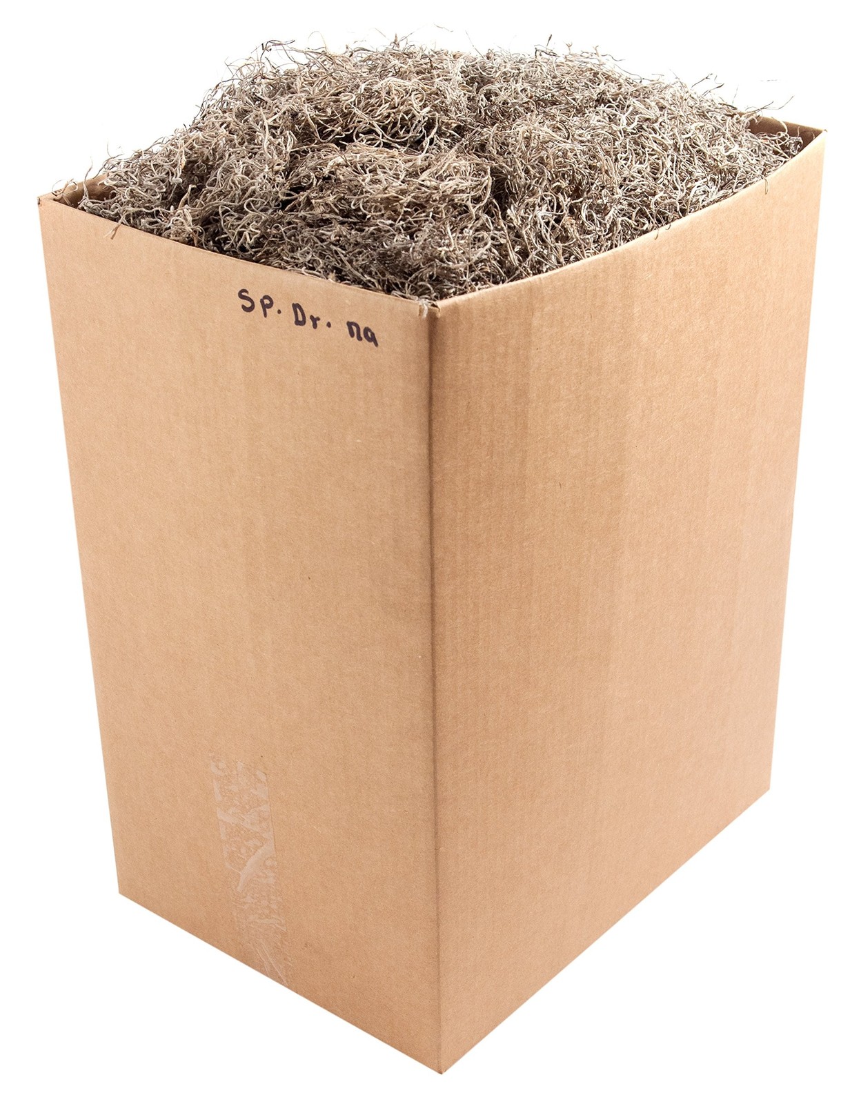 Supermoss 26934 Spanish Moss Preserved, Appx. 5 Lb Bulk Case...
